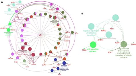 Image result for Mcode Tutorial Cytoscape