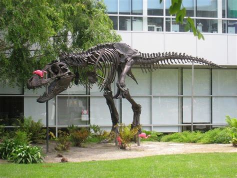 Google turns 21! Crazy facts on the world's biggest search engine ...