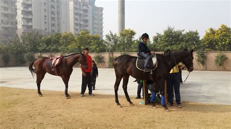 OPG World School - allsport