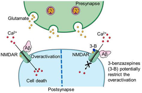 Pharmacological Potential of 3-Benzazepines in NMDAR-Linked ...