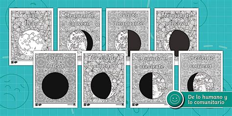 Fases de la luna - hojas para colorear (teacher made)