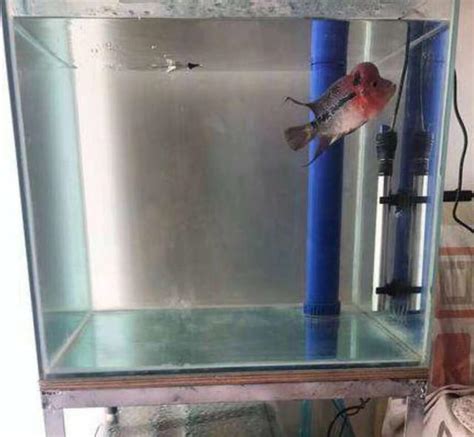 制作鱼缸 – 潍坊宏盛玻璃加工厂