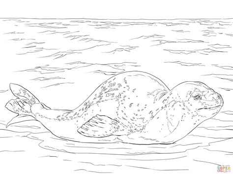 Leopard Seal coloring page | Free Printable Coloring Pages