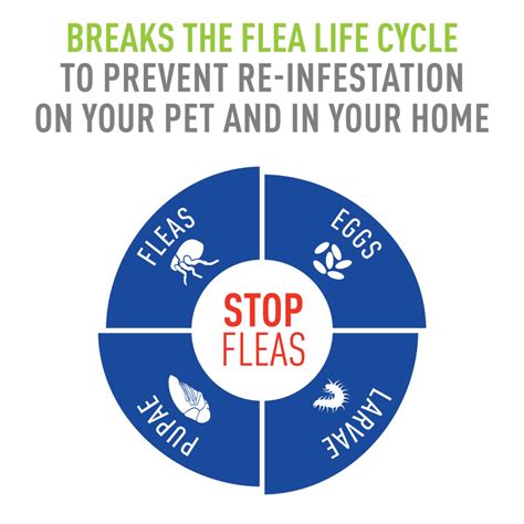 Adams Flea & Tick Spray | Adams™