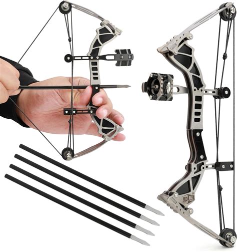 ZSHJGJR 9.5" Mini Compound Bow and Arrows Set for Target Shooting ...