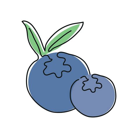 blueberry fruit line drawing 13790989 Vector Art at Vecteezy