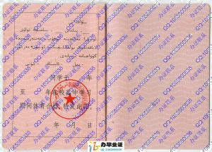 新疆和硕县高级中学高中毕业证样本-样本之家