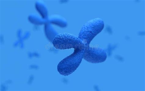 x chromosome immune system