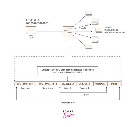 What is MAC Address? - Scaler Topics