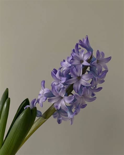 Radiant Energy and Gratitude