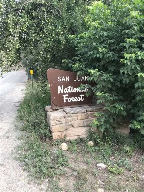 Junction Creek Campground | Durango, CO