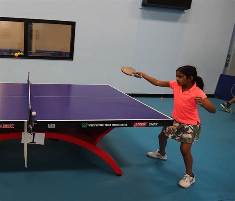 Westchester Table Tennis | Cabinets Matttroy