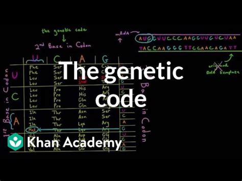 Genetic Code and Deciphering Genetic Code Video Lecture - Biology Class ...