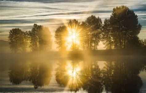 Download wallpaper the sun, trees, nature, fog, river, section nature ...