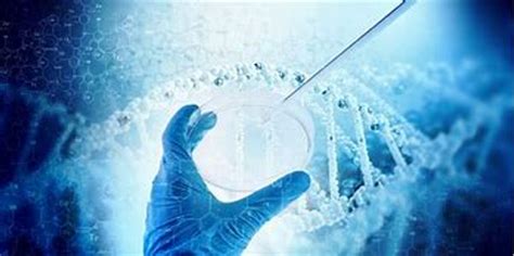 Biotech Just Received Pattern 的图像结果