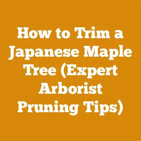 Image result for Pruning Japanese Maple Tree
