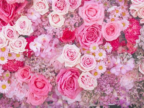 Types Of Pink Flowers For Bouquets What Is The Average Cost Of Wedding
