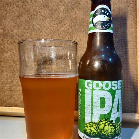 🍺 Cerveza Goose Island IPA | Cerveza Artesana