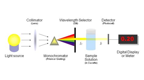 Spectrophotometer Experiment Examples 的图像结果
