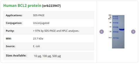 Bcf2 Structure 的图像结果