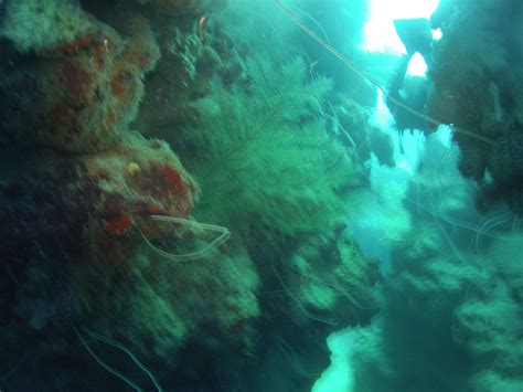 FARO LUNA DIVING CENTER (2026) All You Need to Know BEFORE You Go (with ...