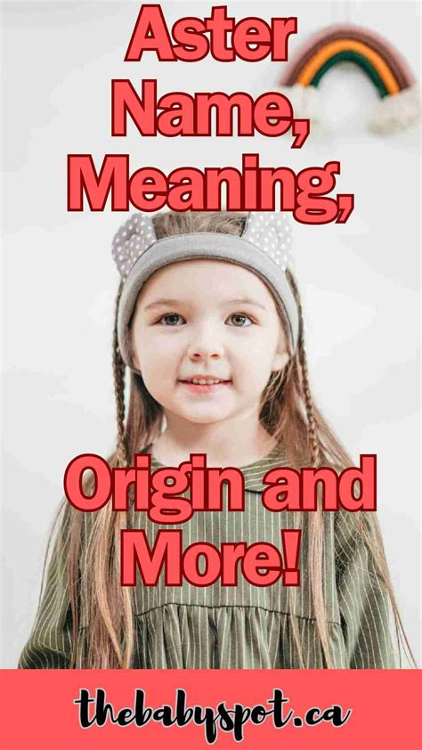 Aster Name, Meaning, Origin and More