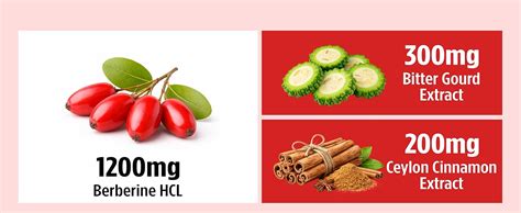 STAY ALIVE Premium Berberine with Ceylon Cinnamon, 3-in-1 Complex with ...