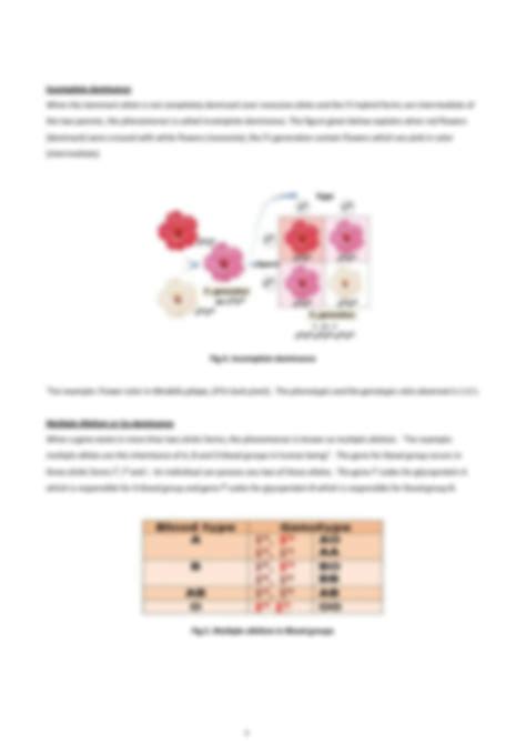 Principle of Inheritance Class 12 One Shot 的图像结果