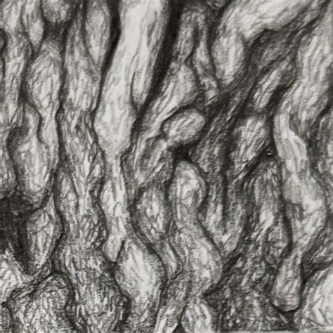 Image result for Tree Texture Drawing