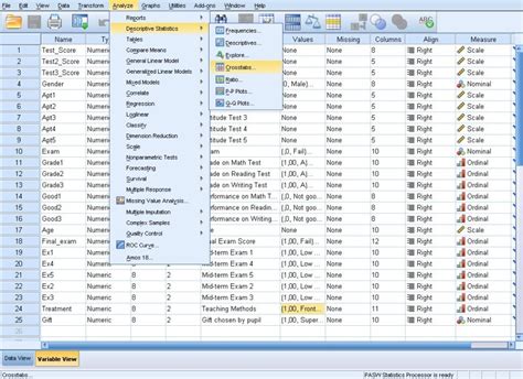 Descargar IBM SPSS Statistics 30.0 para PC Gratis