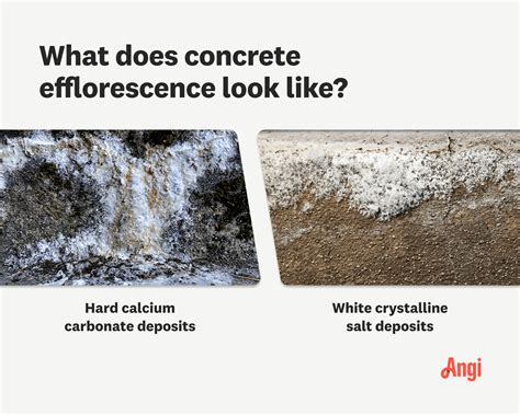 Image result for Efflorescence Repair