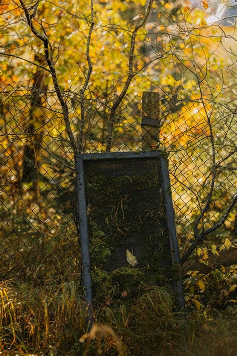 Image result for Rust PC Game Cartoon