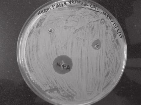 Image result for Well Diffusion Method