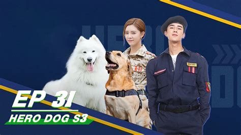 【FULL】Hero Dog Season 3 EP31 | 神犬小七3 | Jo Jiang 姜潮, Cecilia Boey 宋妍霏 ...