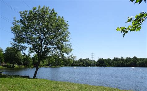 Spring Water Pond 的图像结果