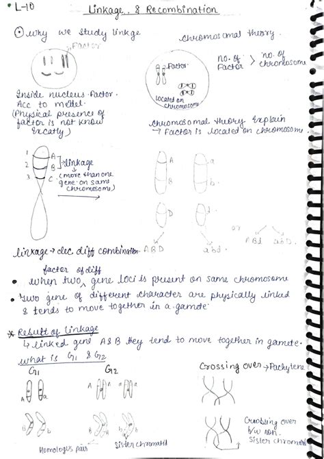 SOLUTION: Chromosomal theory of inheritance sex determination class 12 ...
