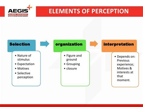 Image result for Different Kinds of Perception