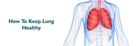 10 Simple Ways to Keep Your Lungs Healthy