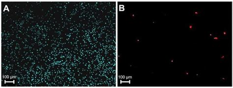 A Simple Method for Sample Preparation to Facilitate Efficient Whole ...