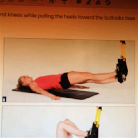 TRX Leg Curl 的图像结果