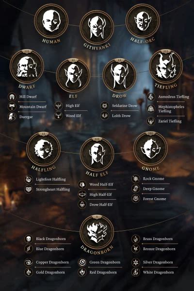 File:Playable Races.webp - bg3.wiki