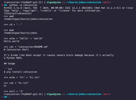 Image result for Shell Repl.it
