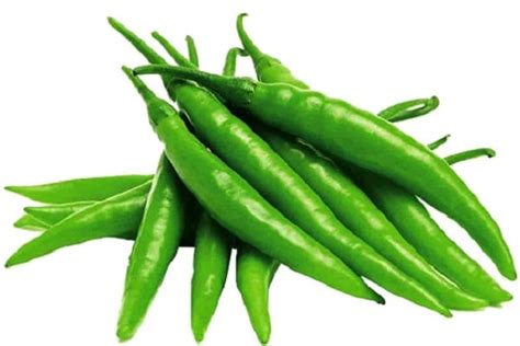 AVS EXIM | Agro Product Exporter from India