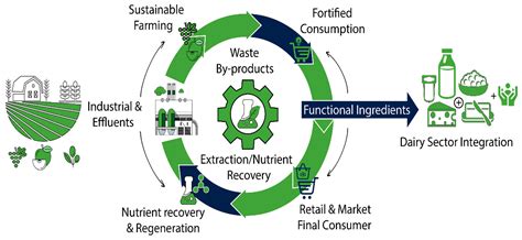 Agri-Food By-Products in Dairy Sector a Review Focused on ...