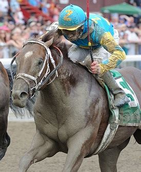 War Front, Mr. Z turn in Derby works | BRISnet.com Trusted Data & More