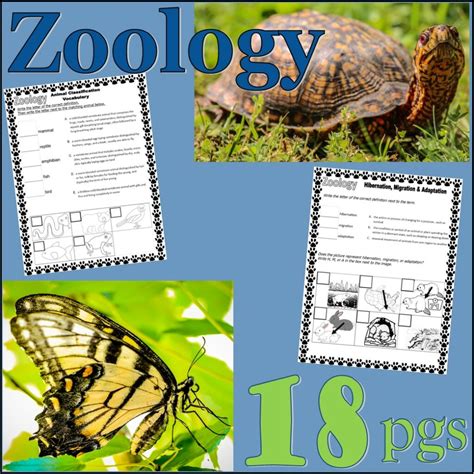 Undergraduate - Zoology Degrees | Harper Adams University