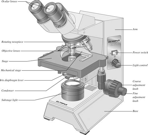 Microscope Diagram 的图像结果