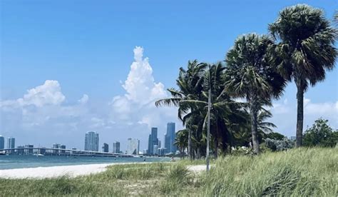 Image result for Key Biscayne Ocean View