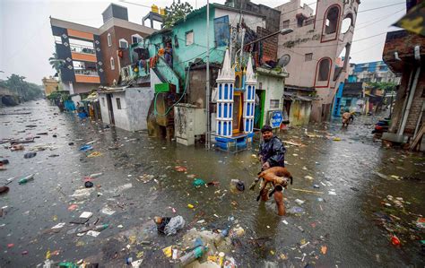 Chennai rain: Rain havoc continues in Tamil Nadu. See photos