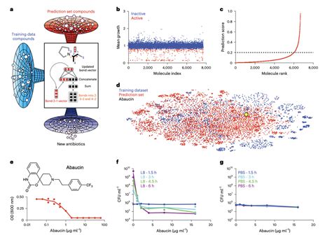 AI discovers new class of antibiotics to kill drug-resistant bacteria | New Scientist